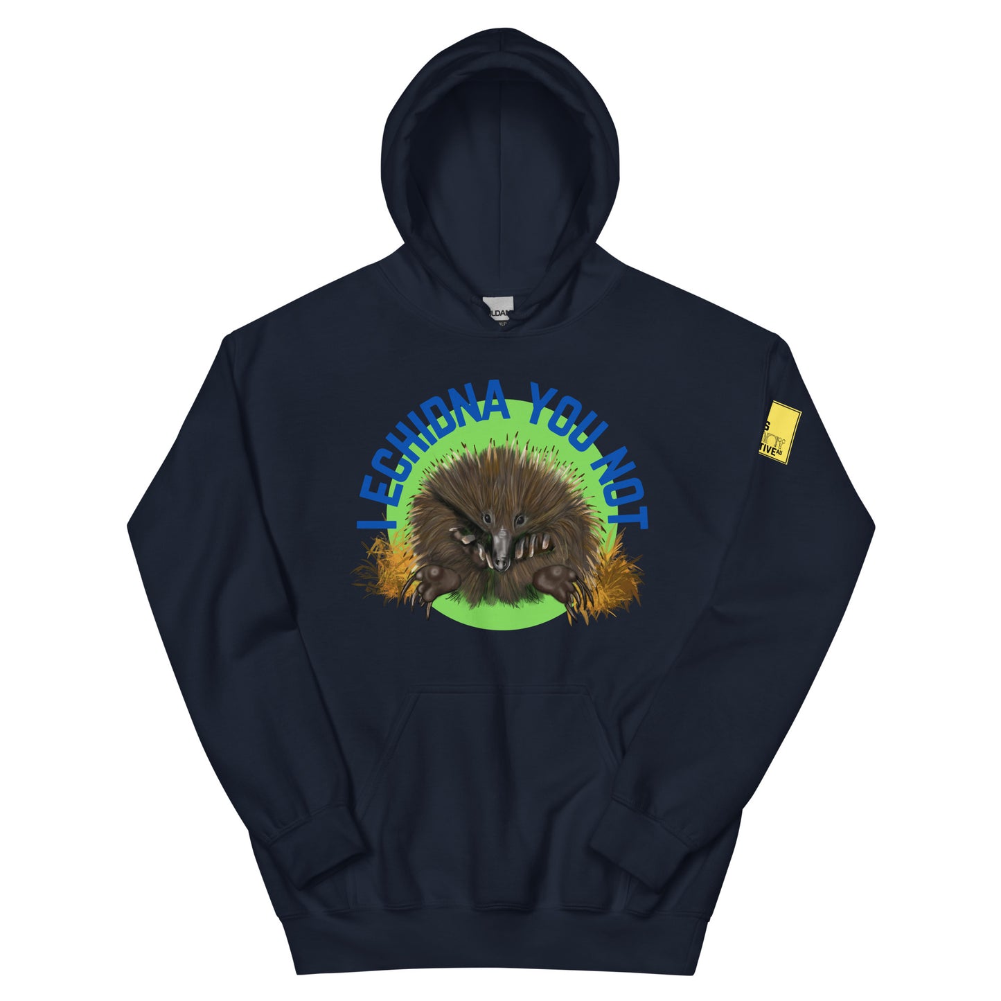 I Echidna you not - Echidna Pun Hoodie - ElmsCreative