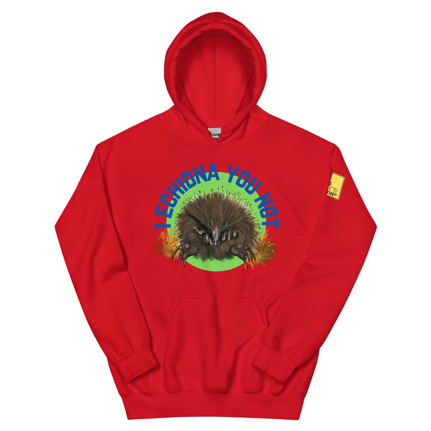 I Echidna you not - Echidna Pun Hoodie - ElmsCreative