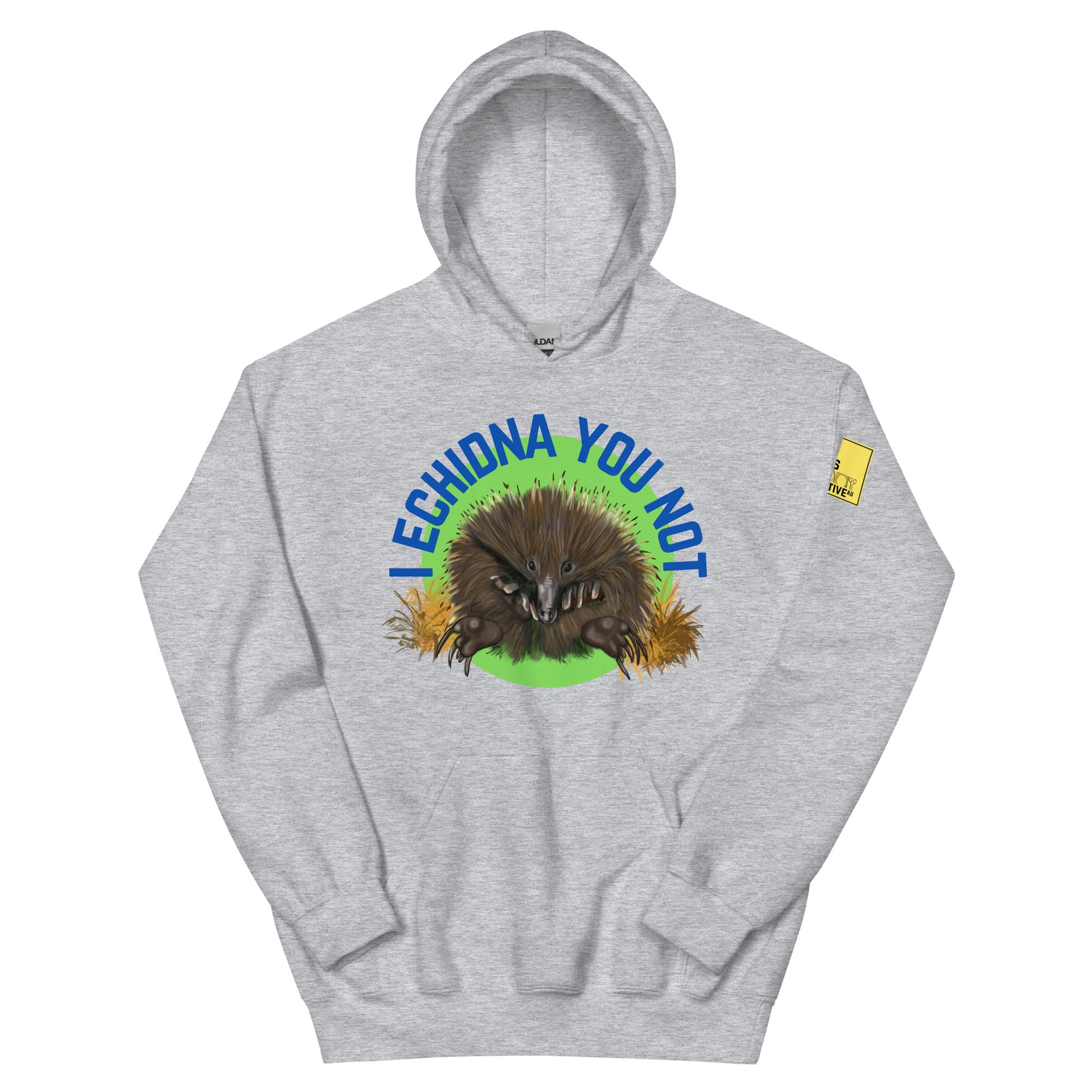 I Echidna you not - Echidna Pun Hoodie - ElmsCreative