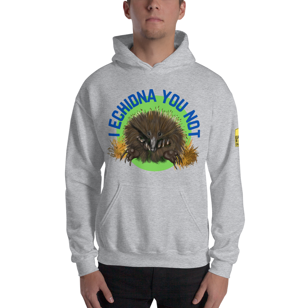 I Echidna you not - Echidna Pun Hoodie - ElmsCreative