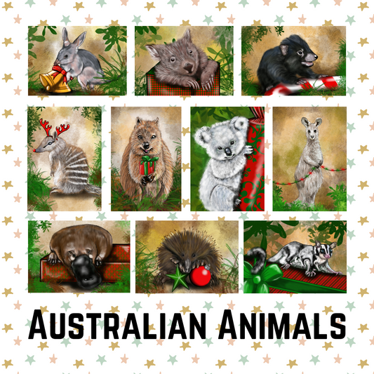 10 Pack - Australian Illustrated Christmas Cards - Complete Series - ElmsCreative