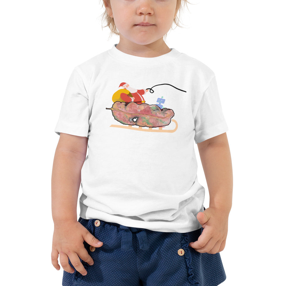 Chrissy Tee - Toddler - GUM LEAVES - Santa's Sleigh T Shirt - ElmsCreative