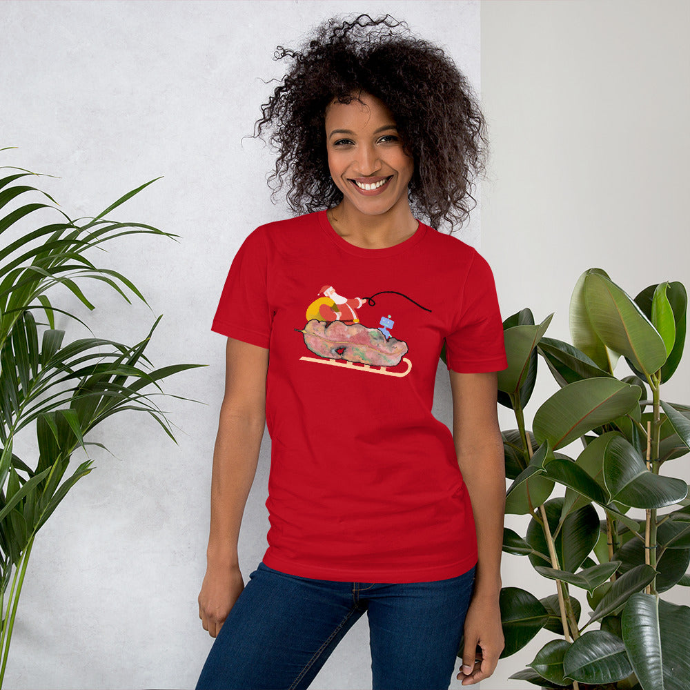 Chrissy Tee - GUM LEAVES - Santa's Sleigh T shirt - ElmsCreative