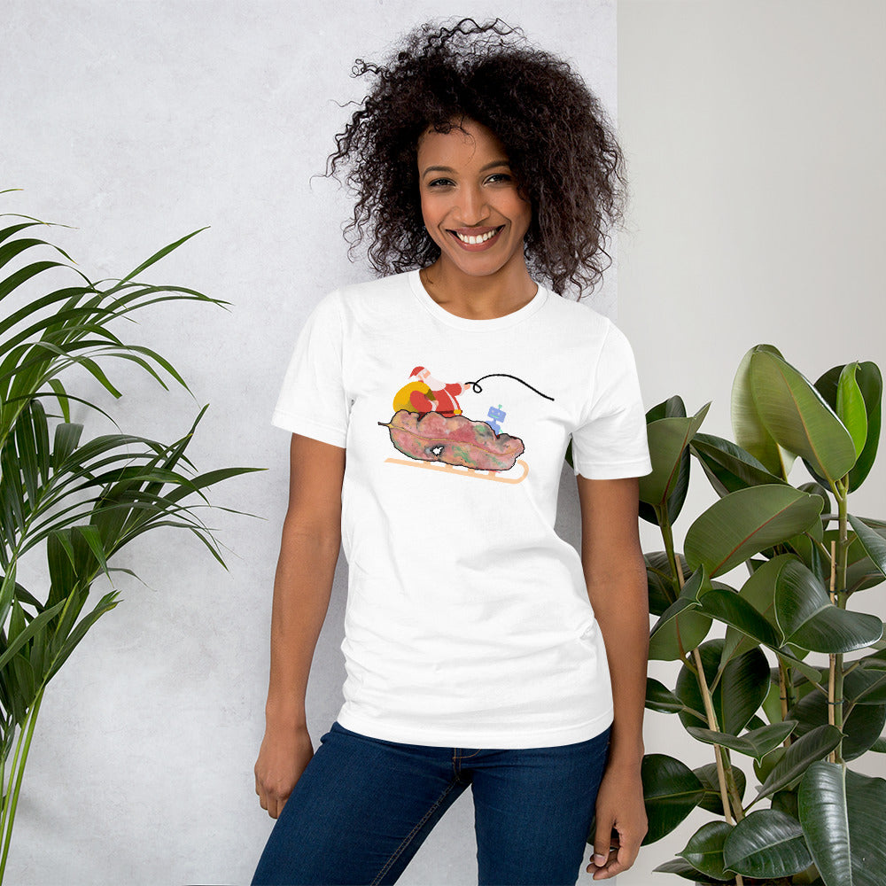 Chrissy Tee - GUM LEAVES - Santa's Sleigh T shirt - ElmsCreative